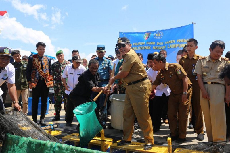 KKP perlu lakukan pendampingan jika hendak genjot produksi udang