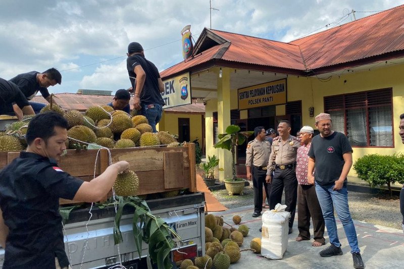 Selundupkan 254 kilogram ganja via truk pengangkut durian digagalkan polisi