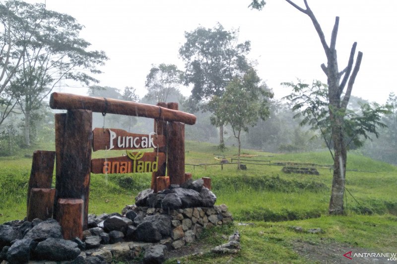 Takjub saat berkunjung ke Puncak Anai