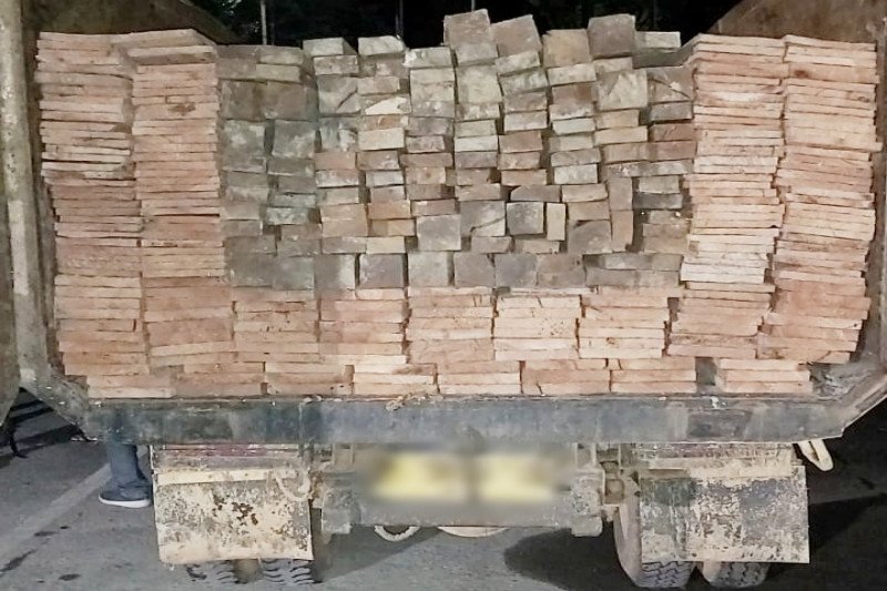 Truk bermuatan ulin dan meranti ilegal ditemukan di kebun sawit