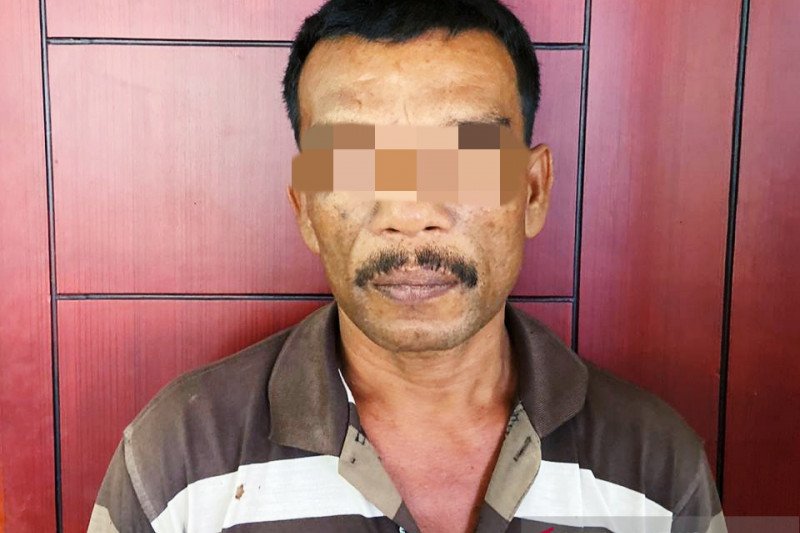 Polresta Pekanbaru tangkap sopir cabuli bocah SD, begini kronologisnya