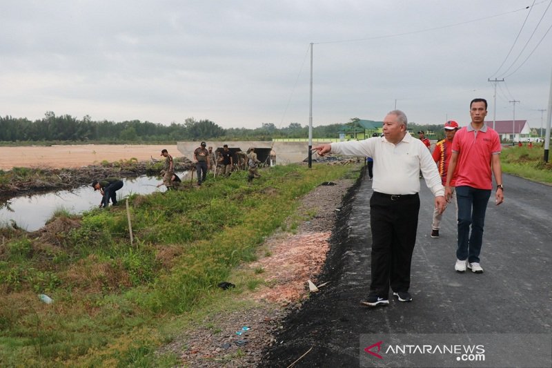 Pemkab Tanjungjabung Barat galakkan budaya menanam pohon