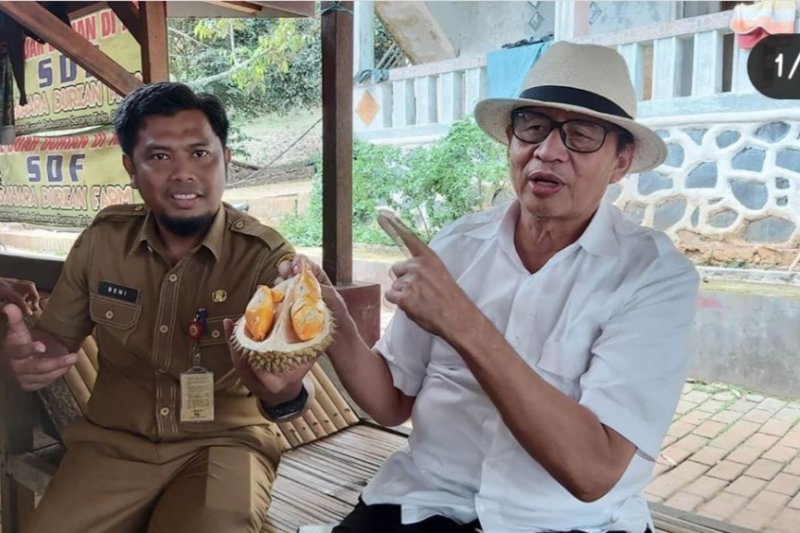 Banten kembali gelar festival durian, 1.000 durian gratis disiapkan