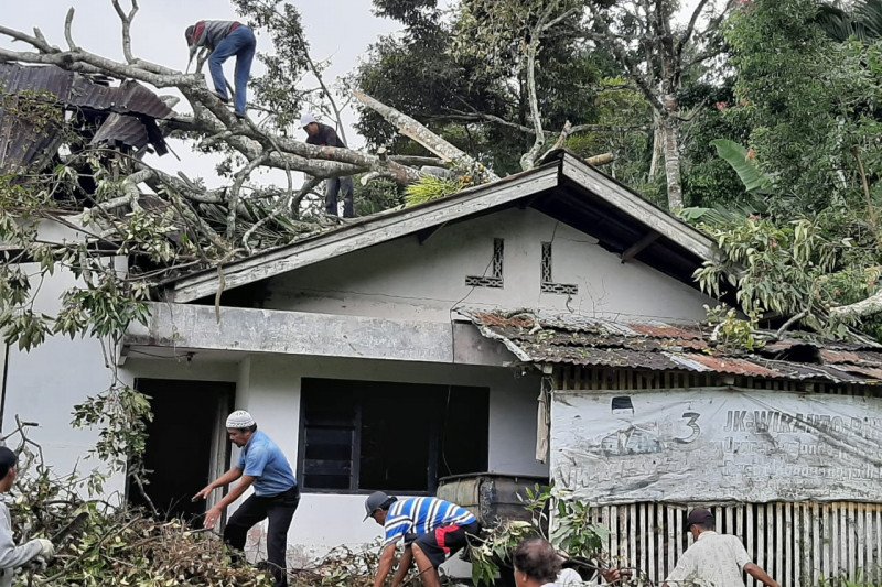 Rumah dan warung warga di Agam rusak parah tertimpa pohon akibat angin kencang