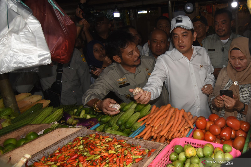 Mendag dan Mentan tinjau harga bahan pokok