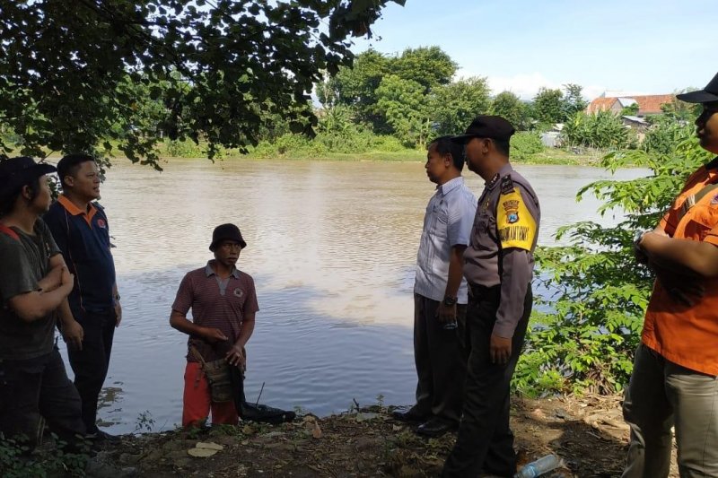 Petugas BPBD cek lokasi kemunculan buaya di Sungai Brantas
