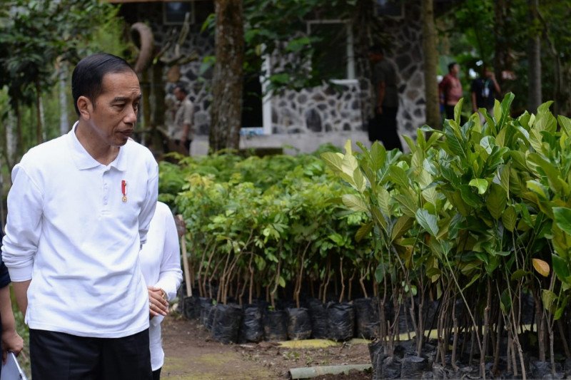 Presiden: WNI yang telah menjalani observasi di Natuna dalam keadaan sehat