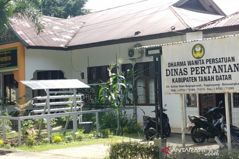 Karang taruna di Tanah Datar didorong jadi petani milenial