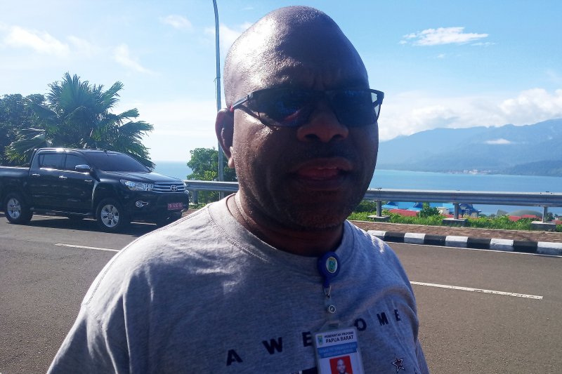 Pemprov Papua Barat manfaatkan lahan tidur tingkatkan peternakan sapi