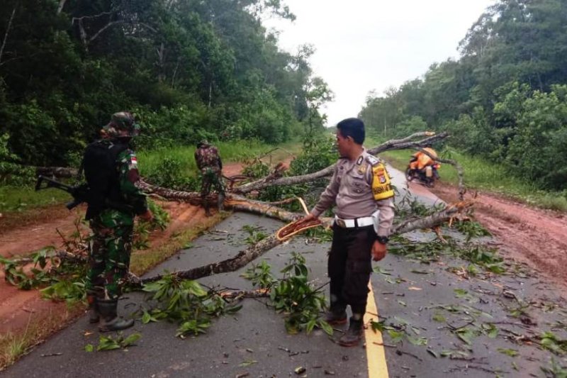 Personel TNI-Polri singkirkan pohon tumbang di Jalan Trans Papua
