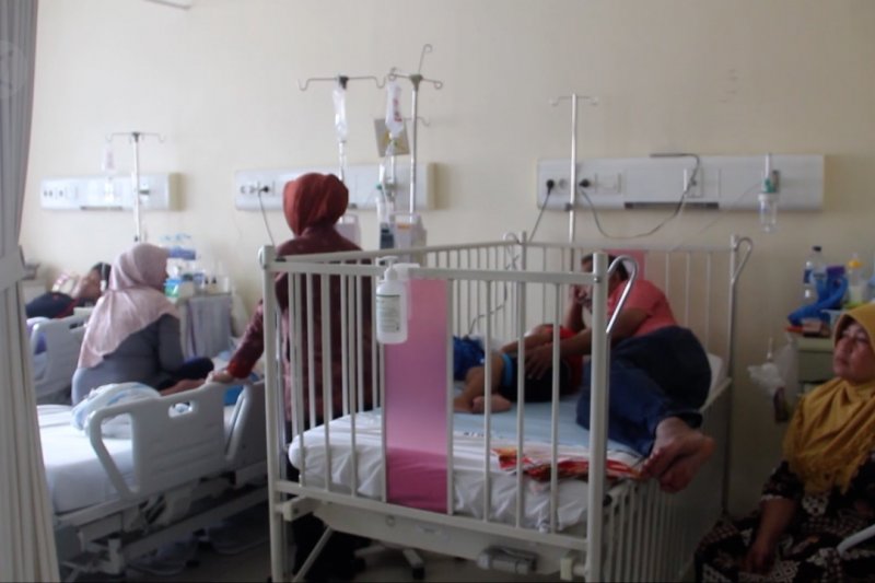 Waspada DBD, sebanyak 49 penderita meninggal dunia