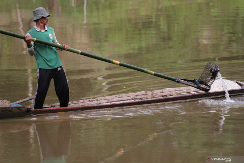 SUNGAI TERCEMAT LIMBANG PERTAMBANGAN NIKEL