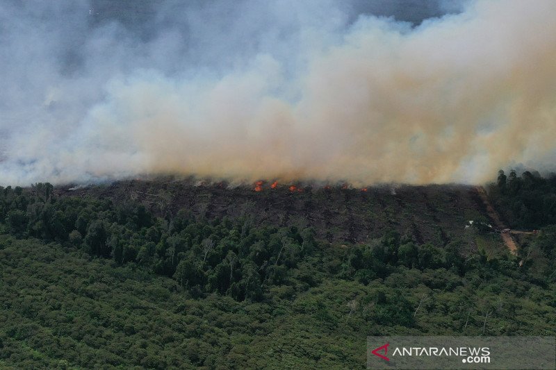 Kebakaran lahan gambut di Aceh Jaya