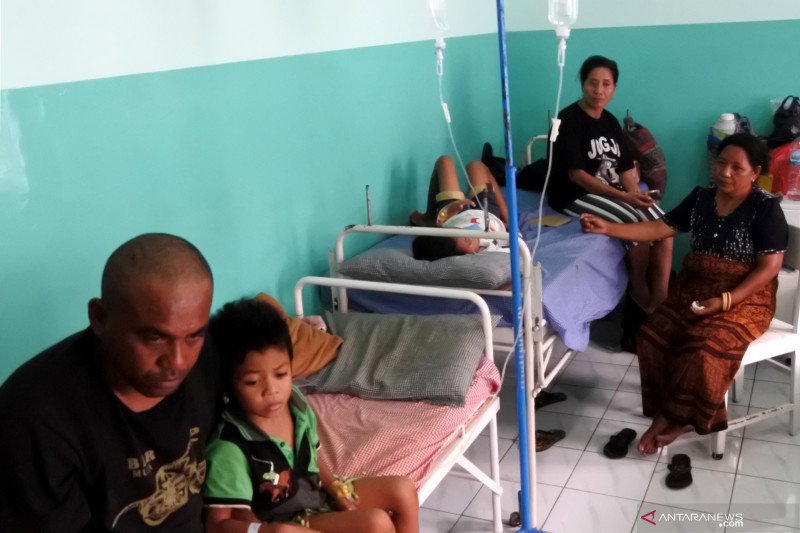 Jumlah korban meninggal akibat DBD bertambah di NTT