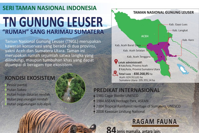 TN Gunung Leuser, 'rumah' sang harimau sumatera