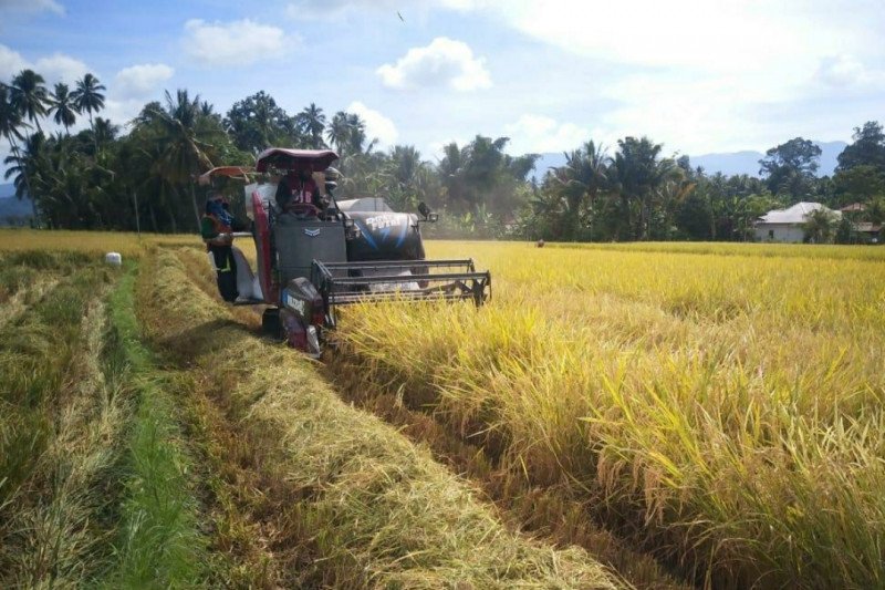 Lampung Selatan segera realisasikan pangan berkelanjutan