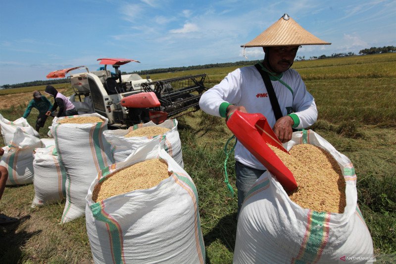 Presiden Jokowi perintahkan Kemendag: pastikan seluruh harga bahan pokok terjangkau