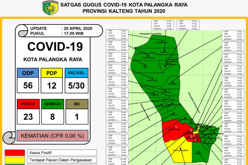 Delapan pasien COVID-19 di Palangka Raya sembuh