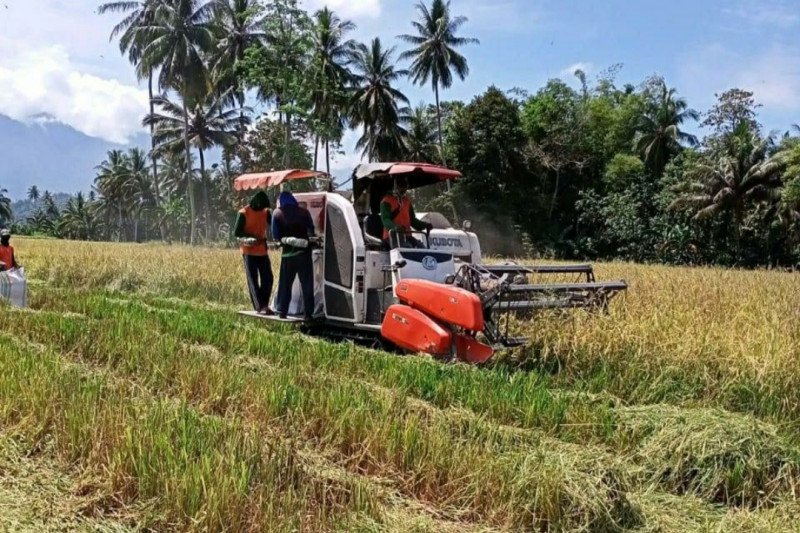 Bulog Lampung pastikan stok pangan cukup