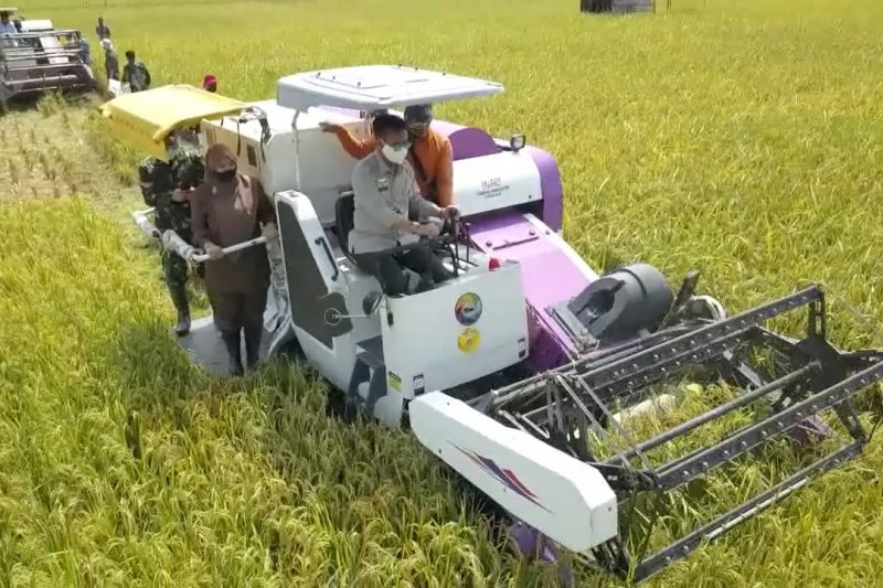 Mentan sebut kesiapan pangan Pandeglang cukup menjanjikan
