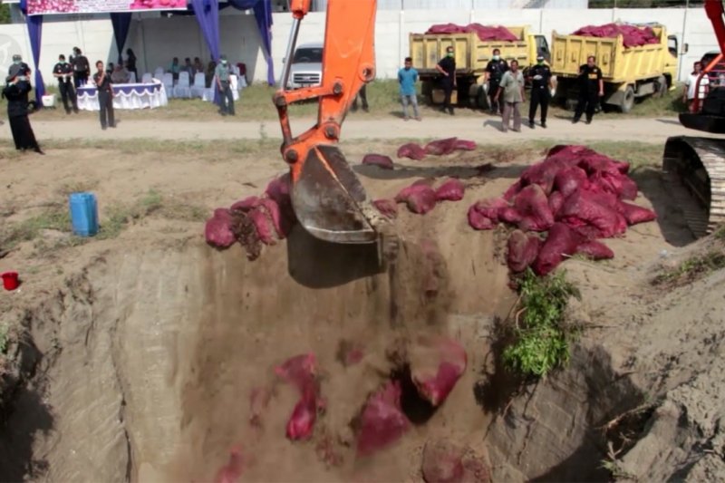 18 ton bawang merah ilegal asal Thailand dimusnahkan