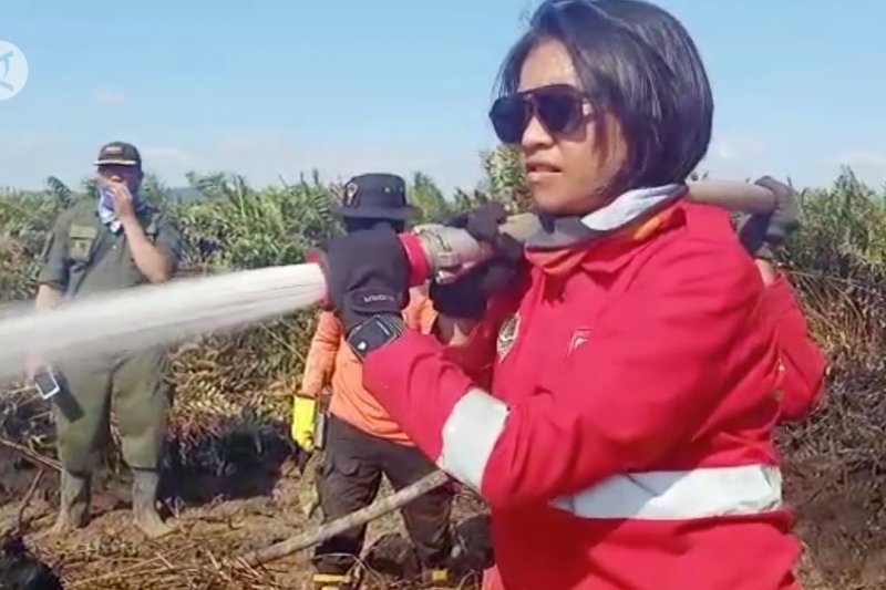 Niluh, srikandi penakluk api karhutla di Sultra