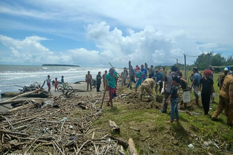 Pemkab Nias kubur bangkai babi yang berserakan di Pantai Tagaule