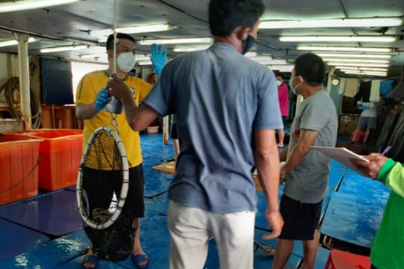 KKP dorong ekspor komoditas ikan kerapu di tengah pandemi