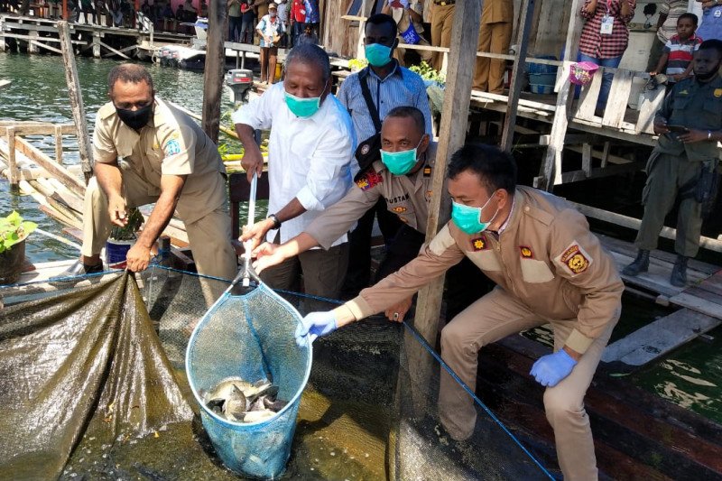 Pemkab Jayapura dorong usaha perikanan di tengah pandemi COVID-19
