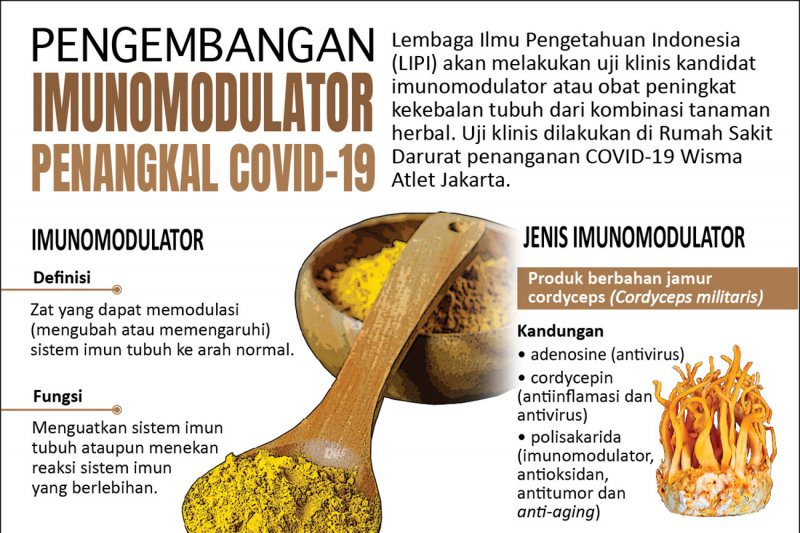 Pengembangan imunomodulator penangkal COVID-19