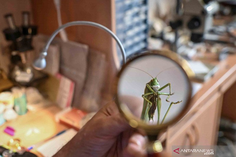Begini kreatifnya seorang seniman miniatur di tengah pandemi COVID-19
