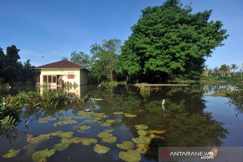 Banjir rob genangi kawasan Padangpariaman