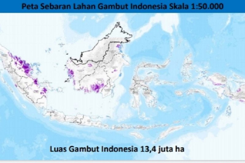 Balitbangtan lakukan pemutakhiran peta lahan gambut
