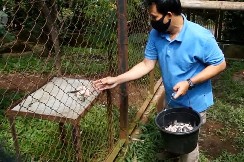 Bantuan bagi kebutuhan pakan satwa di kebun binatang