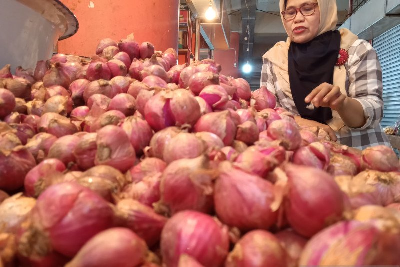 Harga bawang merah di Bengkulu tembus Rp60 ribu/kg