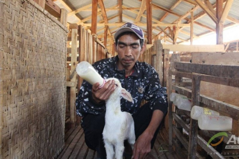 Ulama ajak umat Islam berikan hewan kurban terbaik