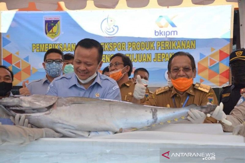Menteri Kelautan resmikan ekspor perdana tuna sirip kuning dari Sulteng ke Jepang