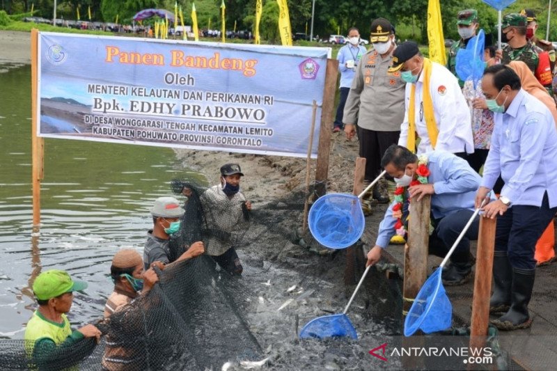 Menteri KP beri jaminan soal izin kapal 30 GT