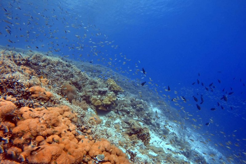 KKP siapkan protokol normal baru pariwisata berkelanjutan Raja Ampat