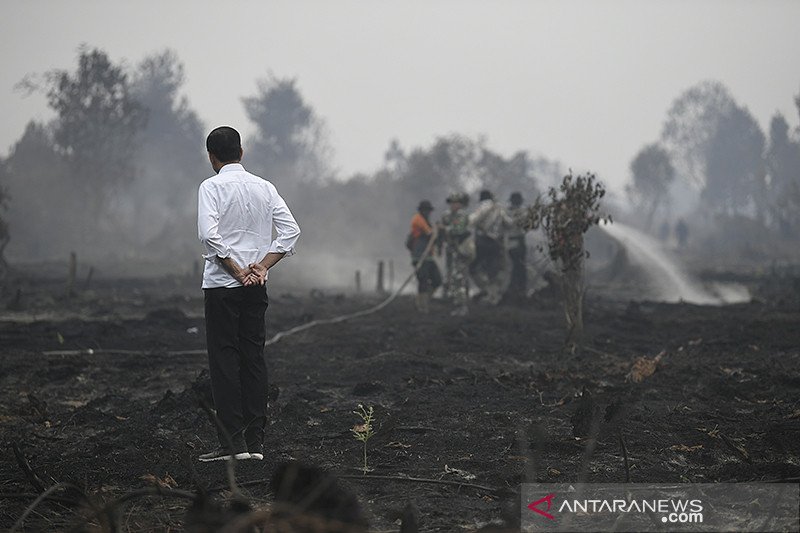 Presiden Jokowi perintahkan pencegahan karhutla manfaatkan teknologi