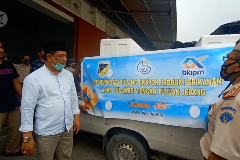 Perdana, Sulteng ekspor tuna ekor kuning ke Jepang