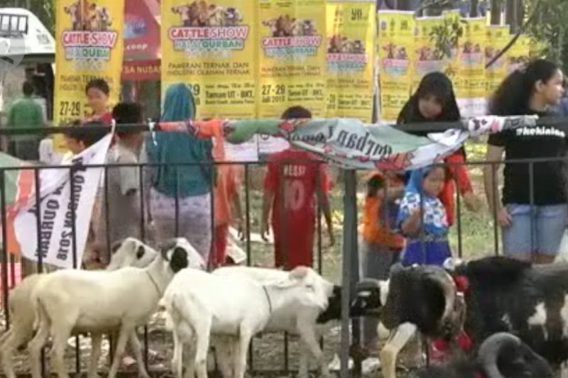 Baznas tetapkan protokol kesehatan untuk kurban