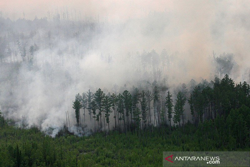 Eu Suhu Siberia Capai Rekor Tertinggi Pada Juni Picu Kebakaran Antara News Kalimantan Tengah Berita Terkini Kalimantan Tengah