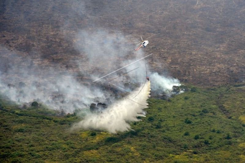 Pemkab Banyuasin Bangun 11 Embung Cegah Karhutla Antara News Aceh