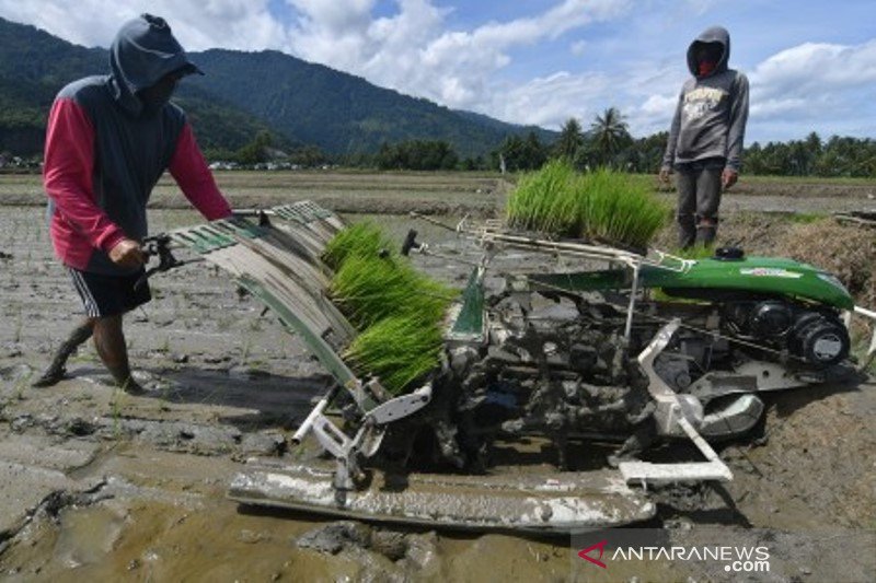 Tanam padi teknologi Jarwo Super dan VUB