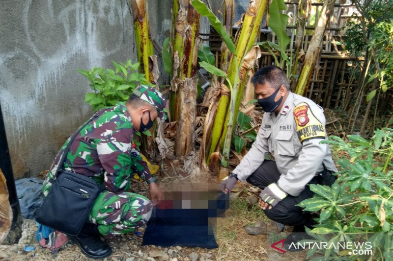 Mayat bayi perempuan ditemukan petugas PPSU di Kapuk