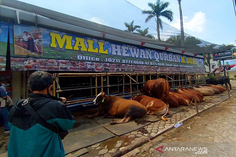Pemkot Depok tetapkan standar penanganan limbah kurban
