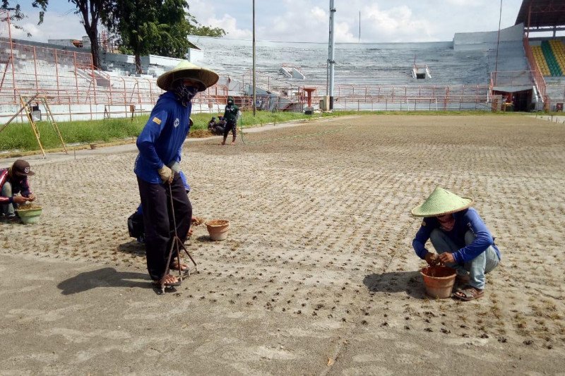 Rumput Stadion Gelora 10 November Surabaya sesuai standar FIFA