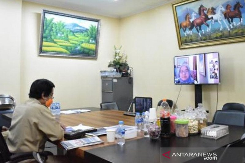 Bangka Belitung terima sapi kurban Presiden Jokowi seberat 1,57 ton