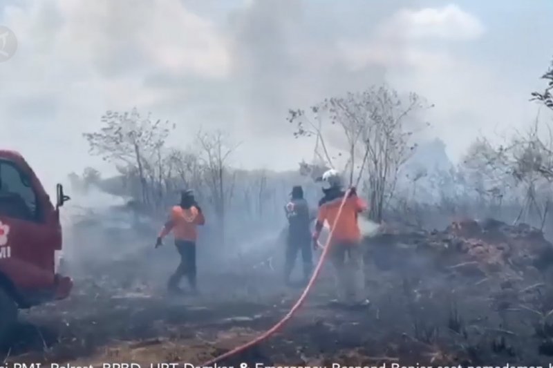 Pemerintah antisipasi Karhutla di musim kemarauĀ
